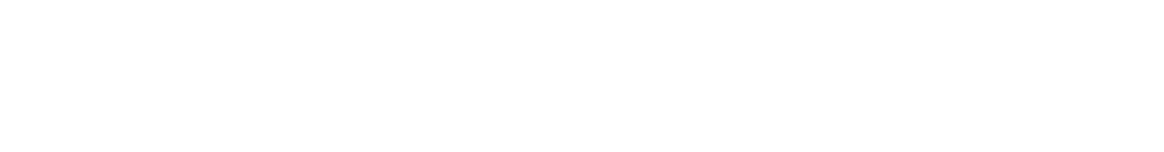 Logo Black Falcon